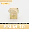 Válvula Solenoide Pneumática Torre de Acelerador de Cobre Silenciador Bsl-01 Polegada 2/3/4 Polegada Besl Conector Silenciador Silencioso