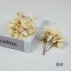 Simulación 16 Óleo sobre Lienzo Hortensia Color Otoño Caja de Flores de Hortensia con Flores Acompañantes Decoración de Caja de Regalo Tocado de Minoría Étnica