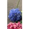 Primavera y Verano rosa púrpura azul estilo jardín boda fábrica de flores artificiales púrpura azul arco de boda guía de camino fondo de ventana
