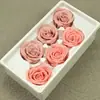 Materiales DIY de flores eternas de alta gama, flores reales, cabezas de rosa bitono grado B, materiales florales al por mayor, flores secas
