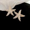Aretes de Borla Viento Frío Serie Plata Aguja de Plata Aretes Estilo Moda Heavy Metal Aretes de Diseño Simple Nicho