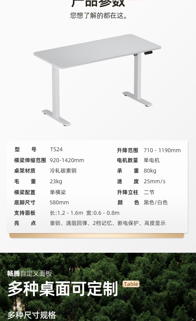 t524-BAI_10.jpg