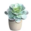 Simulación gran Baolian suculenta tacto de goma suave planta plástico material de decoración floral maceta de césped artificial tridimensional 3D