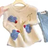 Suéter pullover bordado de estilo casual transfronteiriço para mulheres, novo modelo outono e inverno 2026, colete em crochê tridimensional em camadas para mulheres, moderno
