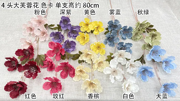 4头大芙蓉花 色卡 花溪谷.jpg