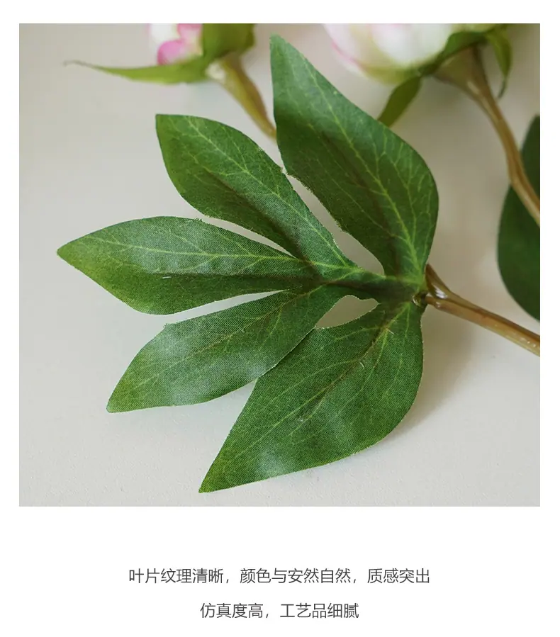梵思2头芍药_11.jpg