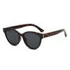 Nuevas Gafas de Sol Polaroid Versátiles de Alta Gama con Estilo Ojo de Gato, Protección UV y Lentes Polarizadas TR