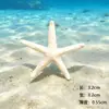 Decoración para Acuario Micro-Paisajismo DIY Resina Hecho a Mano Colgantes de Estrella de Mar y Caballito de Mar Adornos Colgantes Perforados Accesorios con Temática Oceánica