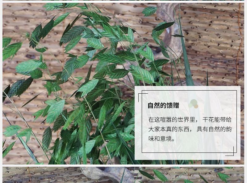 小盼花