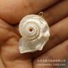 Concha de Caracol Caballo de Mar Fluorescente Caracol Boca Plateada Caracol Espina Redonda Colgante Collar Joyería Accesorios Semi-terminados para DIY Venta al por Mayor