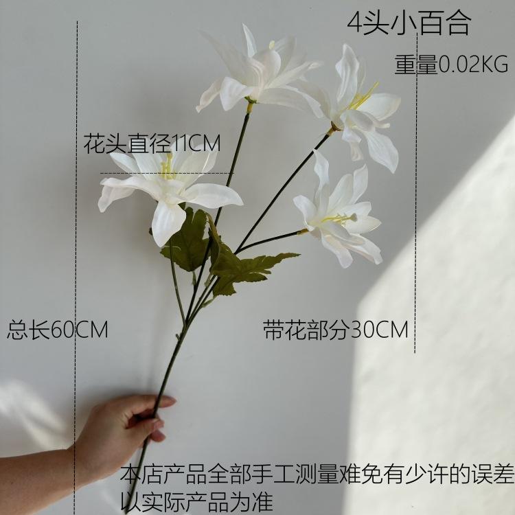 尺寸图