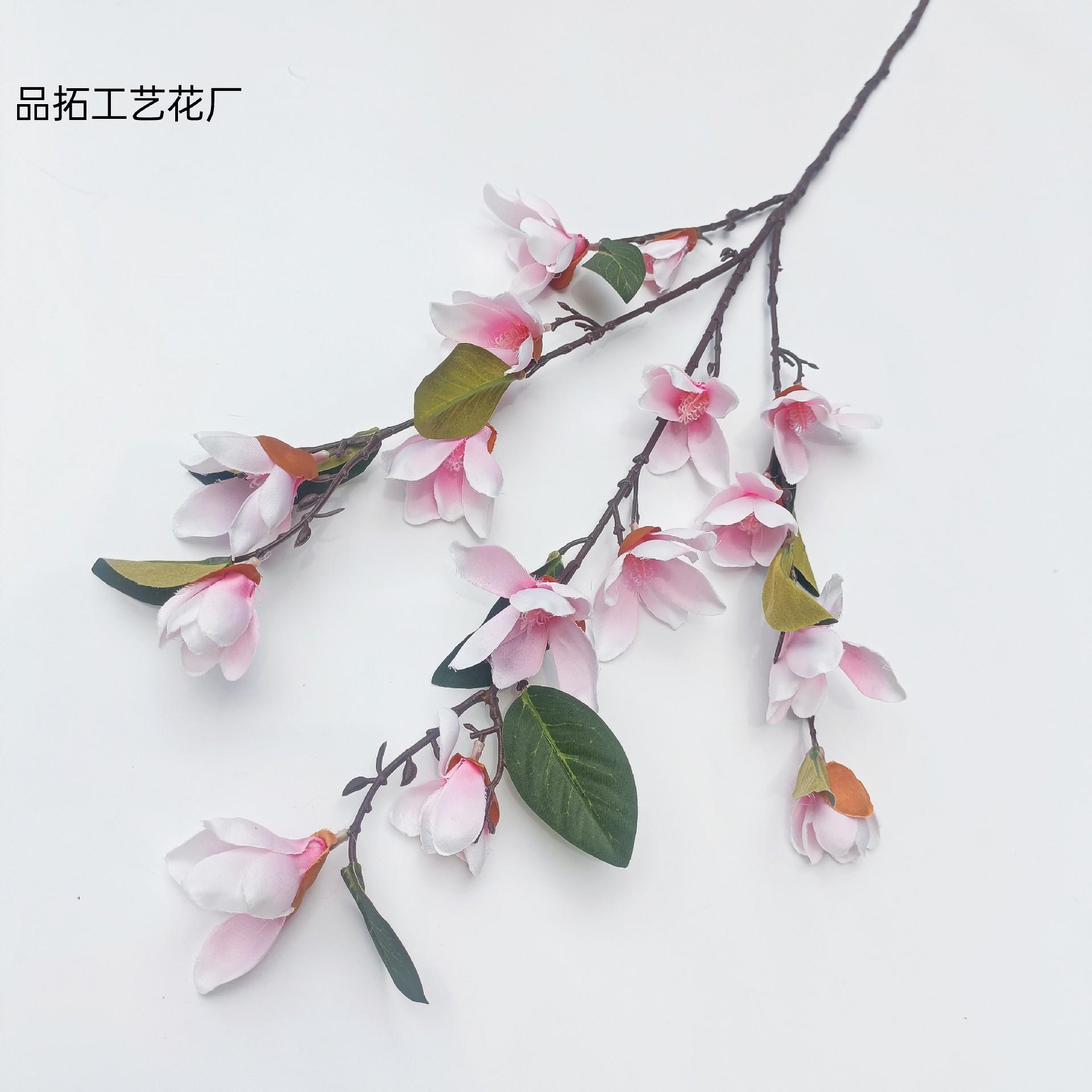 0b49ea90acebf5d228d5edfd9f2401