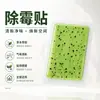 Parche Herbal de Artemisa para Eliminación de Ácaros Parche Doméstico para Eliminación de Ácaros de Cama Repelente de Insectos Parche para Armario Dormitorio Aroma Fresco y Limpio Parche para Eliminación de Ácaros Venta al por Mayor