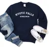 Moda Outono 2024 simples suéter juvenil versátil popular com forro de fleece suéter casual gola redonda Feminino