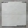 Azulejos de Pared para Cocina Sencillos 300X600, Azulejos de Pared para Cocina y Baño, Azulejos de Pared Mate Antiguos para Inodoro
