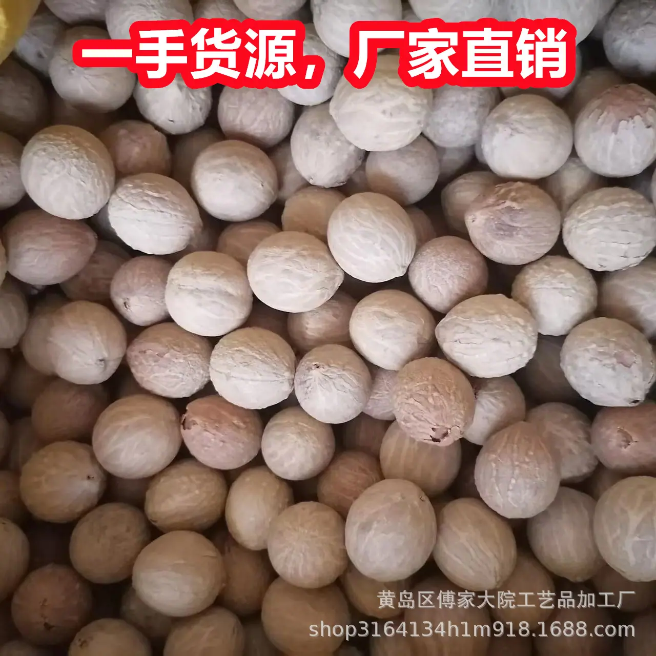 菩提根03.jpg