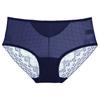 Comércio Exterior Roupa Íntima Feminina Estilo Europeu e Americano, Leve, Respirável, Renda, Cintura Baixa, Calcinha Feminina Pura Desejo, Roupa Íntima Sem Costura de Seda Gelada 9003