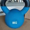 Ventas Directas de Fábrica Mancuernas Rusas Unisex para Gimnasio con Recubrimiento de Plástico y Acabado Pintado, Equipo de Levantamiento de Pesas, Moldeador de Competencia de PVC para Glúteos