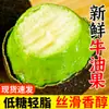 Aguacate Fruta Fresca de Temporada Tienda Oficial Principal Aguacate Hass de Yunnan Puré de Aguacate Alimento Suplemento para Mujeres Embarazadas Aguacate de Primera Calidad
