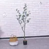 (Oferta Especial, Sin Reembolsos) En Stock Varios Árboles Artificiales de Interior, Flores Falsas, Plantas Verdes, Plantas en Maceta para Decoración de Jardín y Paisajismo