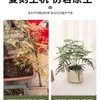 Plantas Verdes Artificiales, Flores Falsas, Flores Artificiales, Plantas Pequeñas de Escritorio en Maceta, Adornos Decorativos, Estanterías, Plantas Verdes Artificiales, Accesorios de Fotografía