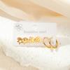 Aretes Estilo Coreano, Aretes de Acero Titanio de Alta Gama, Exquisitos Aretes Pequeños, Aretes de Acero Inoxidable Chapados en Oro, Aretes de Zircón que no se Desvanecen