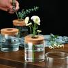 Florero de Vidrio Creativo, Frasco Hidropónico para Plantas, Frasco de Almacenamiento Multifuncional, Flores de Rábano Verde, Frasco de Vidrio Ecológico para Plantas Verdes Simple