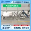 Linha de Produção Totalmente Automática para Processamento de Alho, Conjunto Completo de Equipamentos para Divisão, Descascamento, Limpeza e Secagem de Alho, Direto do Fabricante