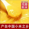 Lanzamiento de Arroz Nuevo Recién Molido 2025: Mijo Amarillo de Shanxi para el Desayuno, Mijo Amarillo Pegajoso de Cultivo Propio para Gachas, Aceite de Arroz y Granos Mixtos