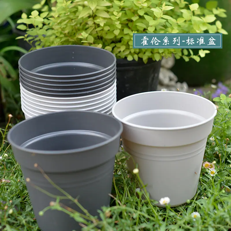 环球标准盆主图