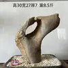Pedra Crua Natural, Pedra Ornamental para Aquários, Pedra para Rochário, Pedra para Paisagismo, Pedra para Jardim de Bonsai, Pedra Lingbi, Pedra Decorativa