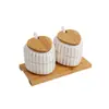 Juego de tarros de condimentos esmerilados estilo japonés, alambre dorado, cerámica de horno, caja combinada para condimentos del hogar, sal, azúcar, botella de condimentos