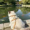 Cuerda para perro correa para perro mascota pata de gallo estrella de mar gato correa de pecho para perro correa para perro correa para perro suministros para mascotas