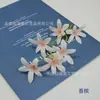 Pasador de Orquídea Phalaenopsis Artificial Flor de Hanfu Linterna de Ópera Accesorios Nuevo Estilo Chino Accesorios para Sesión de Fotos Broche