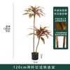 Planta Verde Grande con Borde Rojo Hierro Hierro Brasileño Planta en Maceta Adorno de Pie Nórdico Sala de Estar Interior Planta Verde Artificial Biónica