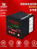 Controlador de Temperatura con Comunicación RS485 Pantalla Digital Controlador de Temperatura PID Totalmente Automático Control de Temperatura de Alta Precisión Alarma