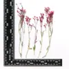 Xiacao Espécimen de Planta en Relieve Goteo de Gel Carcasa para Teléfono Móvil diy Material de Marco de Fotos Flores Secas en Relieve Flores Reales Maquillaje de Novia