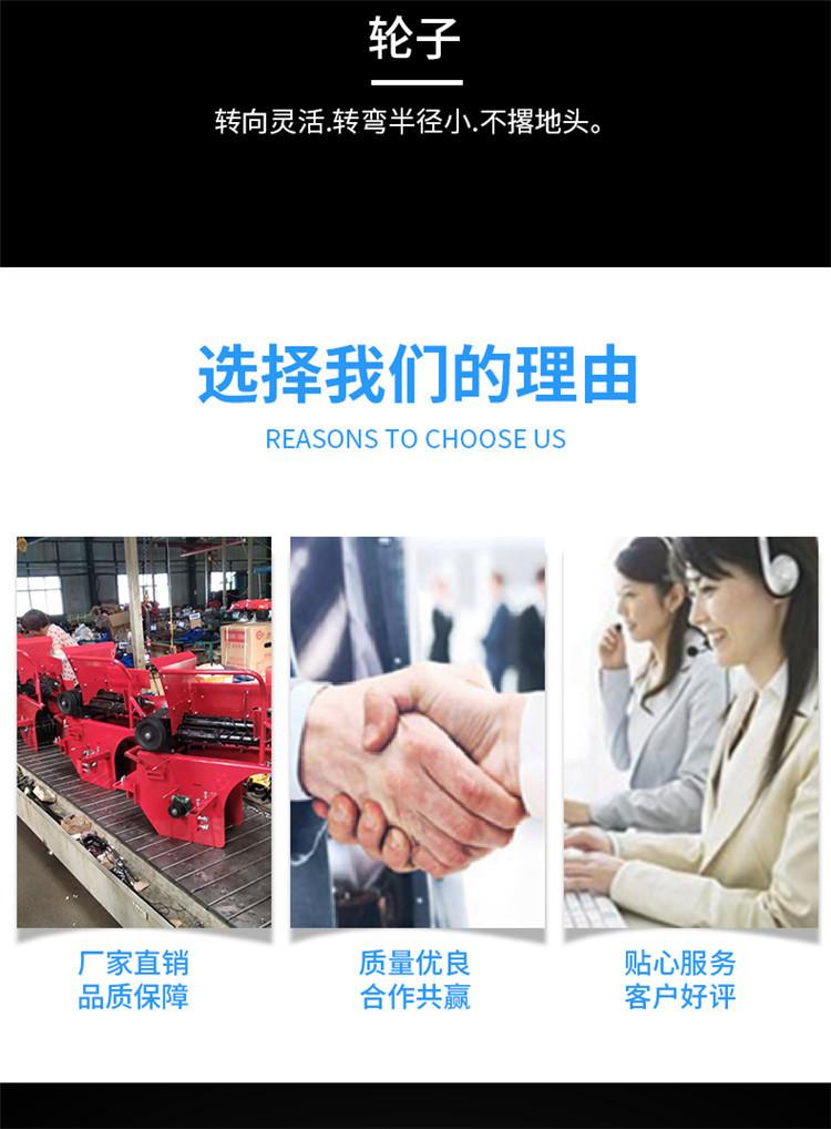 玉米2_08