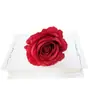 Flor artificial de rosa con diamante único adornos para el hogar sala de estar alto sentido decoración de arreglo floral para auditorio de bodas fabricantes al por mayor