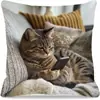Fundas de Almohada de Gato Más Vendidas en Temu, Fundas de Almohada de Animales Lindas y Divertidas, Fundas de Cojín Decorativas para Dormitorio Hogar Sofá Venta al por Mayor