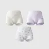Roupa Íntima Infantil Urso Dingmi, 60 Peças Tencel Modal, Algodão Classe A, Antibacteriana 7A, Não Aperta, Não Irrita, Macia para Meninas