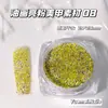 Cor Mista Alta Saturação Pintura a Óleo Glitter Arte de Unhas Joias Caixa com Glitter Super Fino Uso em Unhas Material para Unhas
