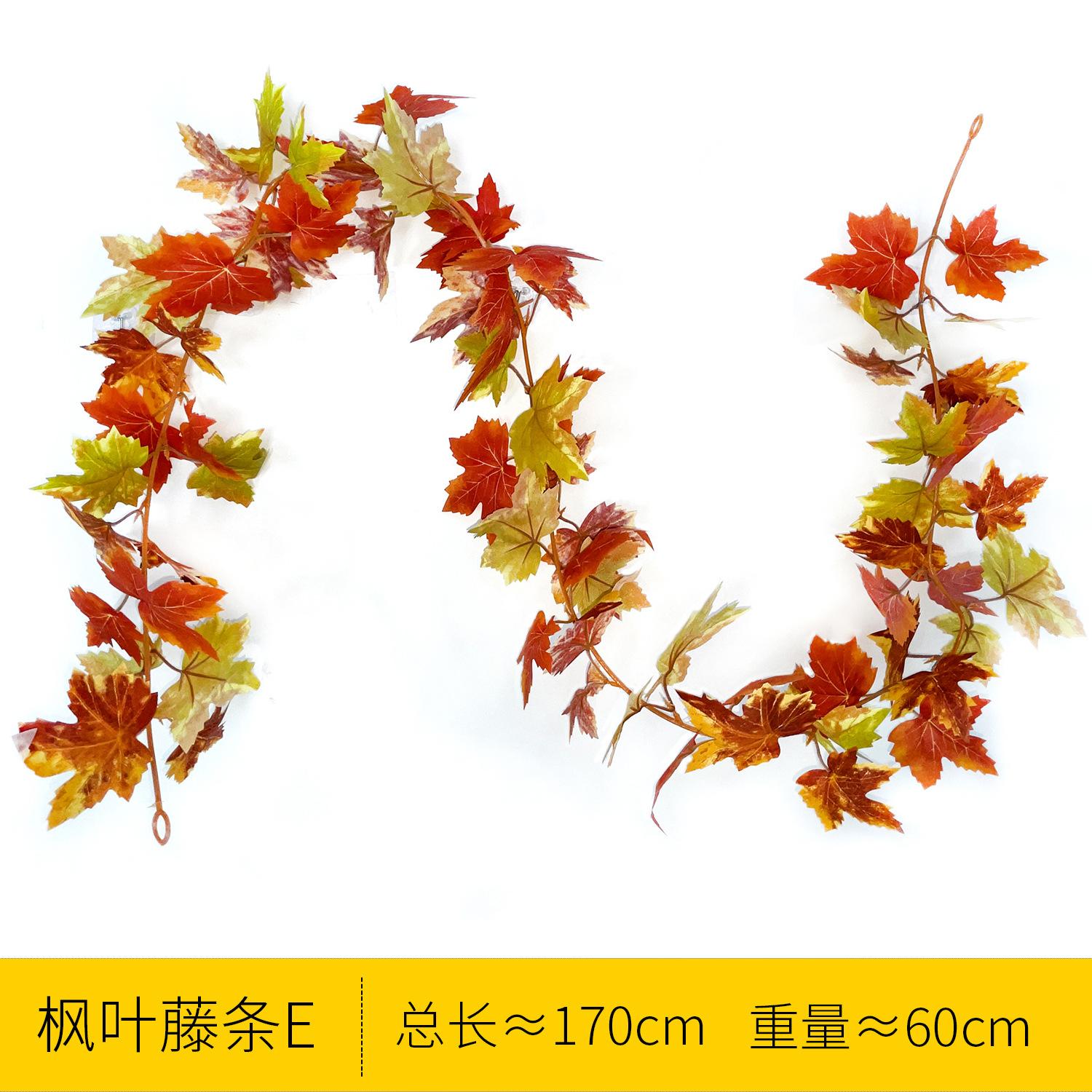 sku-6