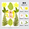 Marcapáginas de especímenes de plantas de hoja real, Pintura al pastel, Paquete de materiales DIY, Marco de fotos, Pintura de collage hecha a mano, Flor seca, Flor en relieve