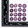 Mini rosa, flor seca natural en relieve, espécimen de planta, flor real, flor con gotas de pegamento, deflectores, material hecho a mano para niños