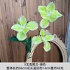 Flores artificiais de orquídea íris com três hastes, adereços para arranjos de flores de casamento, atacado para fotografia, decoração de sala de estudo, adereços para filmagem de projetos