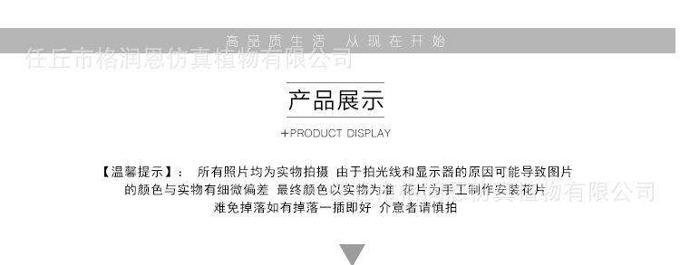 单支玫瑰花_10.jpg