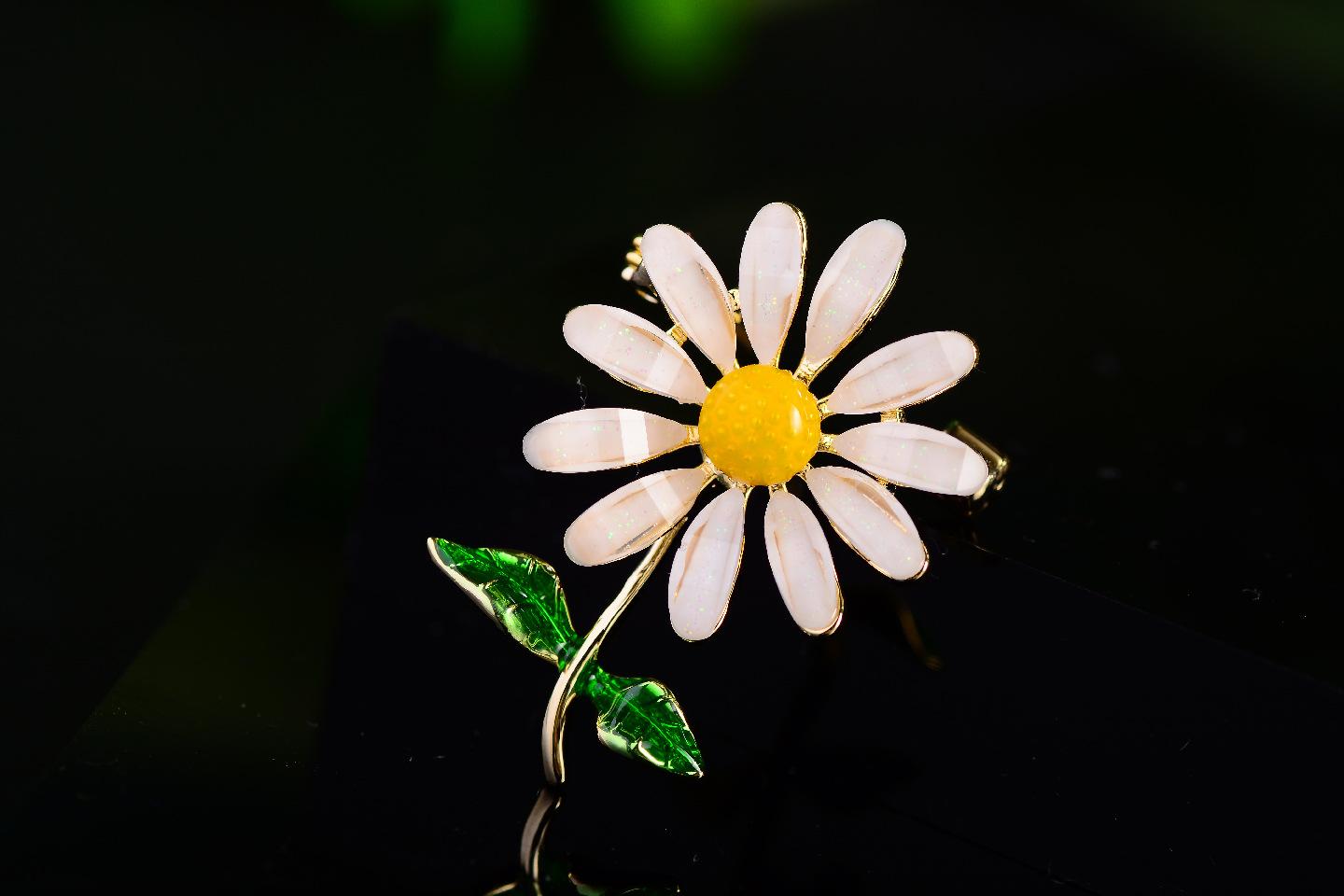 DSC_3017