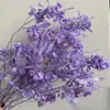 Hierba de Amante Flor Eterna Flor Real Natural Ramo de Flores Eternas Caja de Regalo para el Día de San Valentín con Arreglo Floral de Aromaterapia Especial al por Mayor