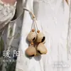 Colgante de Bolso con Cáscara de Fruta de Planta Natural Sonajero Hecho a Mano Terapia de Sonido Campana Colgante Adorno para Mochila Estilo Mori Campana de Viento Curativa Colgante para Coche